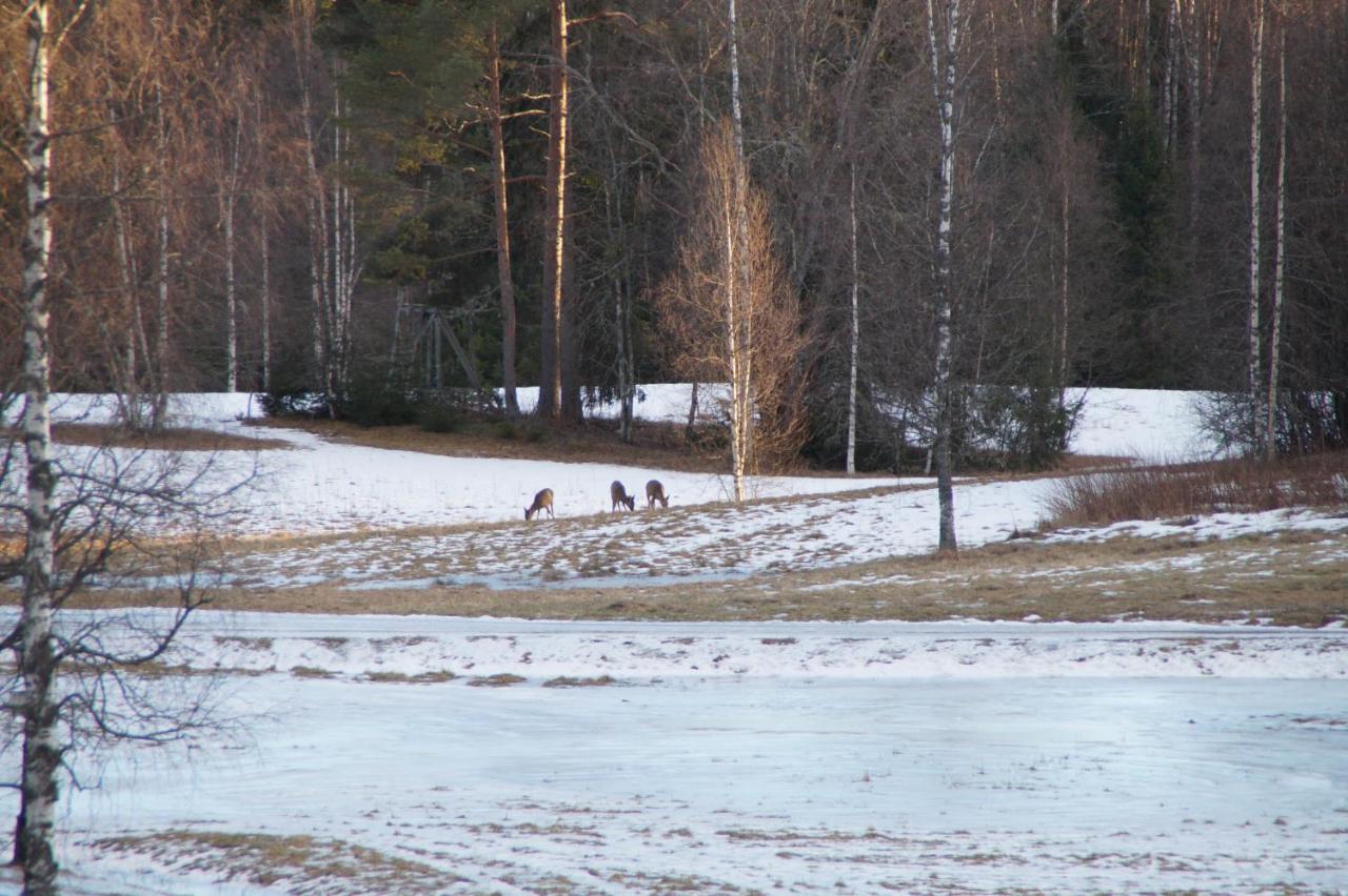 Cosy Private Cottage With Stunning View Сунне Екстер'єр фото